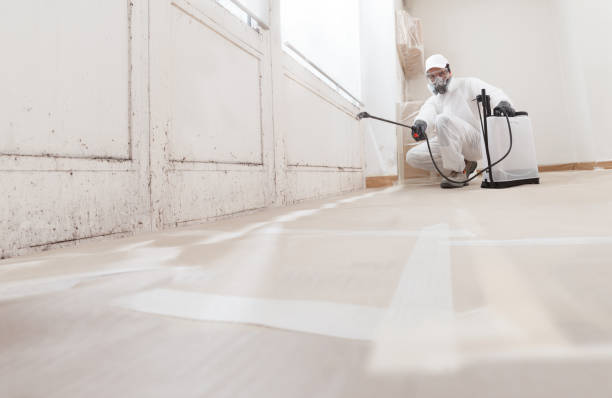 24/7 Emergency Commercial Mold Remediation experts in Mount Airy, GA
