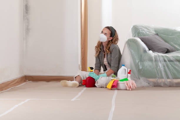 Reliable Commercial Mold Remediation contractor in Mount Airy, GA by 24 Hour Mold Removal